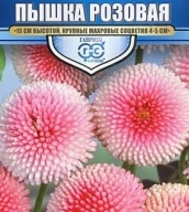 Маргаритка Пышка розовая  "Гавриш"
