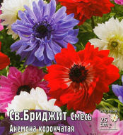 Анемона корончатая Св. Бриджит смесь