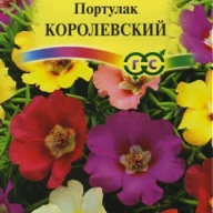 Портулак Королевский "Гавриш"