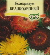 Гелихризум Великолепный "Гавриш"