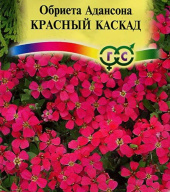 Обриета Адансона Красный каскад "Гавриш"
