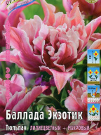 Тюльпан махровый - лилиецветный Баллада Экзотик