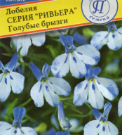 Лобелия ампельная "Ривьера" Голубые брызги "Престиж семена"