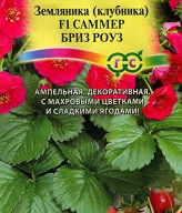 Земляника F1 Саммер бриз Роуз "Гавриш"