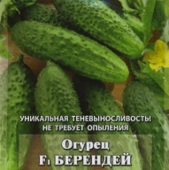 Огурец F1 Берендей "Гавриш"