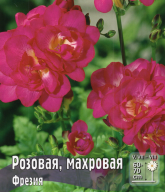 Фрезия Розовая махровая