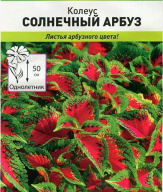 Колеус Солнечный арбуз "Русский Огород"