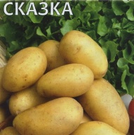 Картофель Сказка "Гавриш"