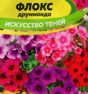 Флокс друммонда Искусство теней "семена Алтая"