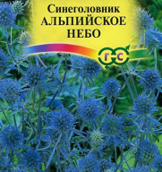 Синеголовник Альпийское небо "Гавриш"