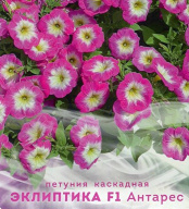 Петуния каскадная Эклиптика F1 Антарес "Биотехника"