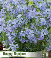 Флокс Клаудс Парфюм 