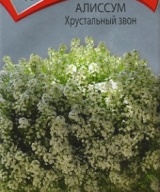 Алиссум Хрустальный звон  "Поиск"