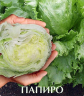 Салат кочанный Папиро "Биотехника"