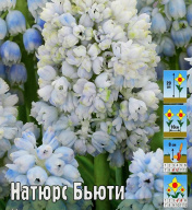Мускари Натюрс Бьюти