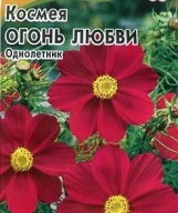 Космея Огонь любви "Гавриш"