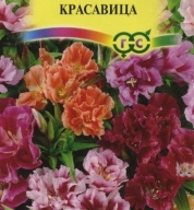 Годеция Красавица "Гавриш"