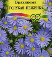 Брахикома Голубая неженка  "Гавриш"
