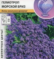 Гелиотроп Морской бриз "Русский Огород"