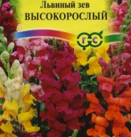 Львиный зев Высокорослый  "Гавриш"