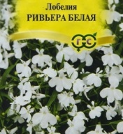 Лобелия Ривьера белая "Гавриш"