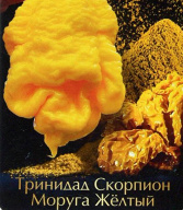 Перец жгучий Тринидад Скорпион Моруга желтый "Биотехника"