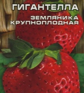 Земляника Гигантелла "Сибирский сад"