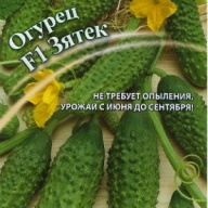Огурец F1 Зятек "Гавриш"