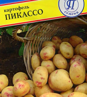 Картофель Пикассо "Престиж семена"