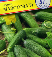 Огурец Маэстоза F1 "Престиж семена"
