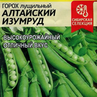 Горох лущильный Алтайский изумруд "Семена Алтая"