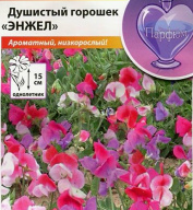 Душистый горошек  Энжел  "Русский огород"