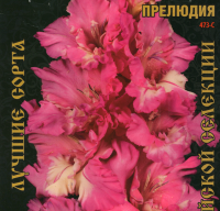 Гладиолус Прелюдия