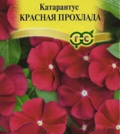 Катарантус Красная прохлада "Гавриш"