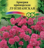 Армерия приморская Луизианская  "Гавриш"
