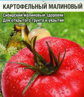 Томат Картофельный малиновый "Сибирский сад"
