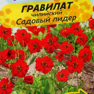 Гравилат чилийский Садовый лидер "семена Алтая"