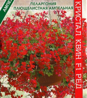 Пеларгония плющелистная ампельная Кристал квин F1 ред "Биотехника"