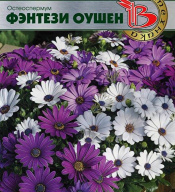 Остеоспермум Фэнтези Оушен  "Биотехника"