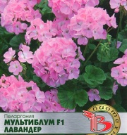Пеларгония Мультиблум F1 Лавандер "Биотехника"