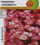 Камнеломка Фламинго "Русский Огород"