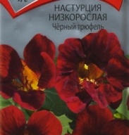 Настурция низкорослая Черный трюфель "Поиск"