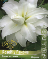 Лилия восточная махровая Roselily Рамона