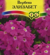 Вербена Элизабет "Гавриш"