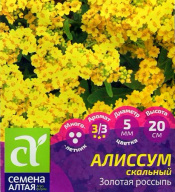 Алиссум скальный Золотая россыпь "семена Алтая"