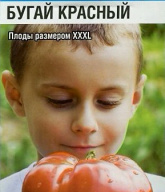 Томат Бугай красный "Сибирский сад"
