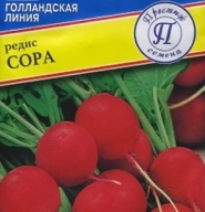 Редис Сора  "Престиж семена "
