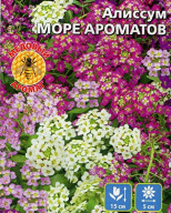 Алиссум Море ароматов "Уральский дачник"