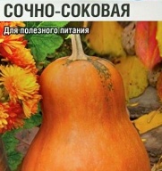 Пион Президент Вильсон
