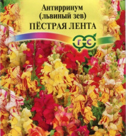 Львиный зев Пестрая лента "Гавриш"